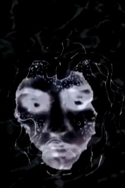 The Linear of Nightmare